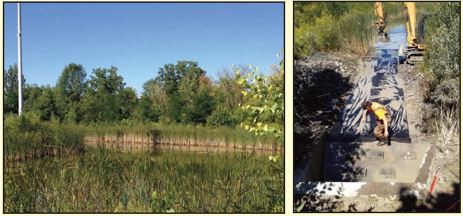 Outfall Cleaning